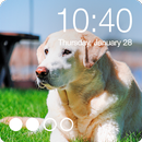 Cute Dogs Labrador Wallpapers PIN Password AppLock APK