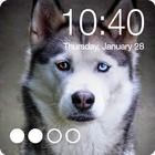 Siberian Husky Dog Lock Screen AppLock Security আইকন