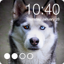 Siberian Husky Dog Lock Screen AppLock Security APK