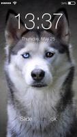 Siberian Husky Dog Lock Screen AppLock Security পোস্টার
