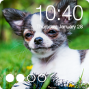 Puppy Chihuahua Screen Lock Wallpaper Phone PIN APK