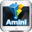 Amini