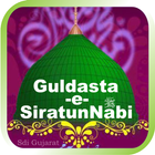 Guldasta e SiratunNabi icon