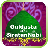 Guldasta e SiratunNabi icon