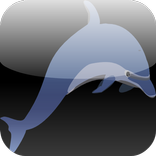 Cool Fish Game