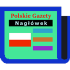Polish Newspapers icône