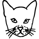 APK CatApp