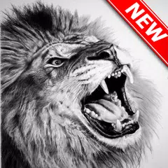 Descargar APK de how to draw animals