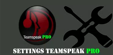 TS3 TeamSpeak PRO