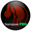 TS3 TeamSpeak PRO