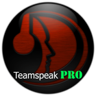 TS3 TeamSpeak PRO 图标