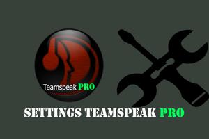 TS3 TeamSpeak PRO Screenshot 2