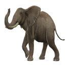 elefante pg realidad aumentada APK