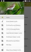 Kicau Suara Burung Sikatan Londo MP3 imagem de tela 2