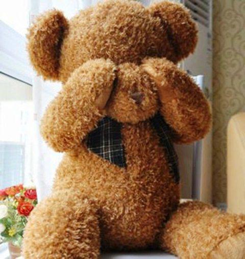 Cute  Teddy  Bear  Wallpapers  for Android  APK Download