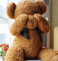 Cute Teddy Bear Wallpapers capture d'écran 1