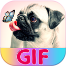 Анимированные Гифки : Сделать Гиф APK