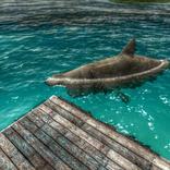 Raft Survival Pirate