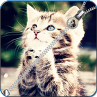 Cat Zip Screen Lock icône