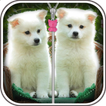 ”Cute Puppy Zip Screen Lock