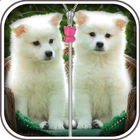 Cute Puppy Zip Screen Lock icon