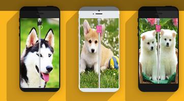 Cute Puppy Zip Screen Lock পোস্টার