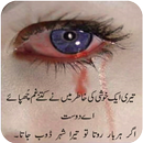APK Dukhi Shayari-Urdu Lines