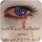 Dukhi Shayari-Urdu Lines icon