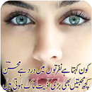 APK Sad Poetry Lines-Udas Shayri
