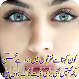 Sad Poetry Lines-Udas Shayri icon