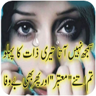 Urdu Sad Love Shairy icône