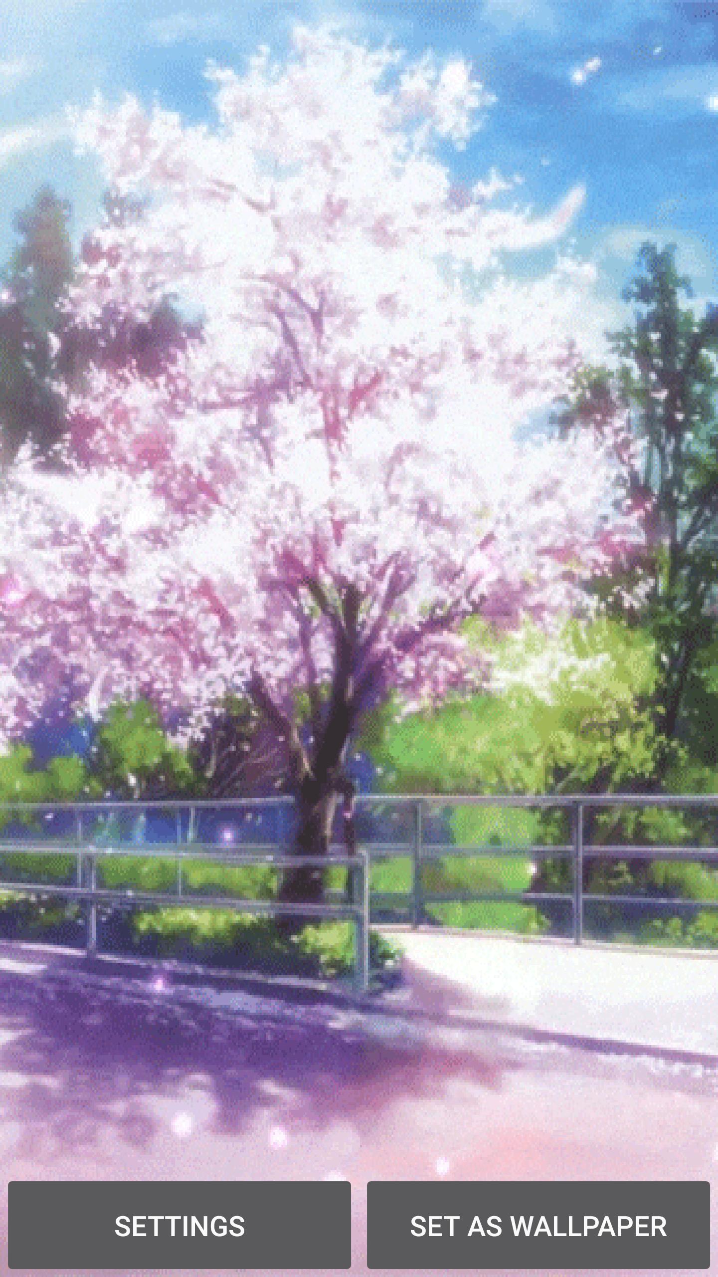 92 Gambar Wallpaper Pemandangan Bunga Sakura Terbaik