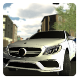 Real Driving Simulator