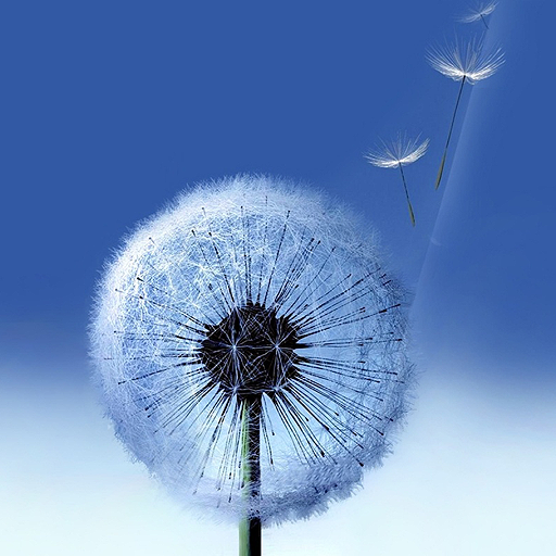 Samsung Galaxy S3 - Wallpapers