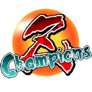 Z Champions APK