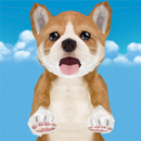 Puppy Race for Kids APK