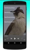 Pikat Burung Kutilang Gacor MP3 capture d'écran 1