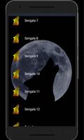 Ringthone Suara Serigala MP3 Offline capture d'écran 1