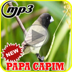 Canto Papa Capim Tui Tui Puro Offline Mp3