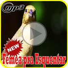 Canto de Femea Pra Esquentar Mp3 biểu tượng