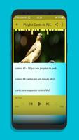 Canto de Femea Pra Esquentar Mp3 ảnh chụp màn hình 3
