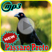 Canto de Passaro Preto Grauna Mp3