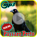 Canto de Passaro Preto Grauna Mp3 aplikacja