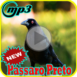 Canto de Passaro Preto Grauna biểu tượng