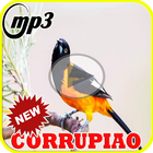 Canto do Corrupiao Mateiro Mp3 biểu tượng