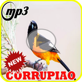 Canto do Corrupiao Mateiro Mp3 biểu tượng