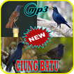 Kicau Burung Ciung Batu Offline Mp3