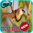 Kicau Burung Cucak Kopi Gacor Mp3