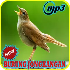420 Gambar Burung Jongkangan Gratis Terbaru