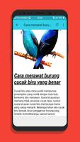 Kicau Burung Cucak Biru Gacor Mp3 capture d'écran 3
